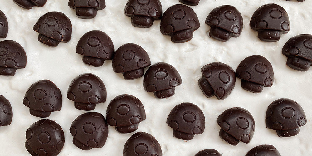 Medicinal Mushroom Chocolates – Rainbo