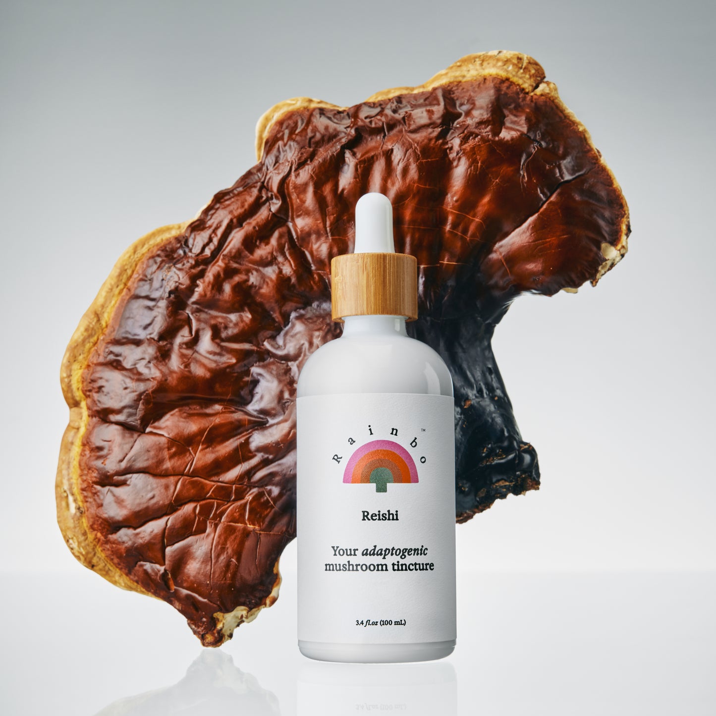 Reishi