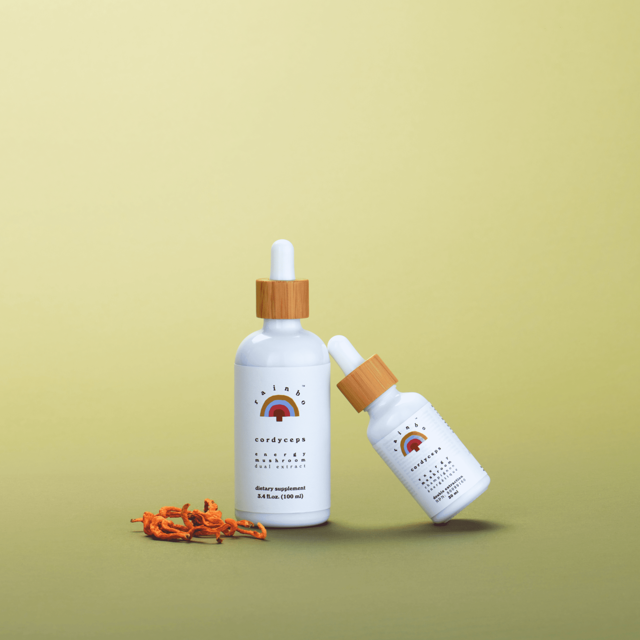 Big & Mini Bundle
