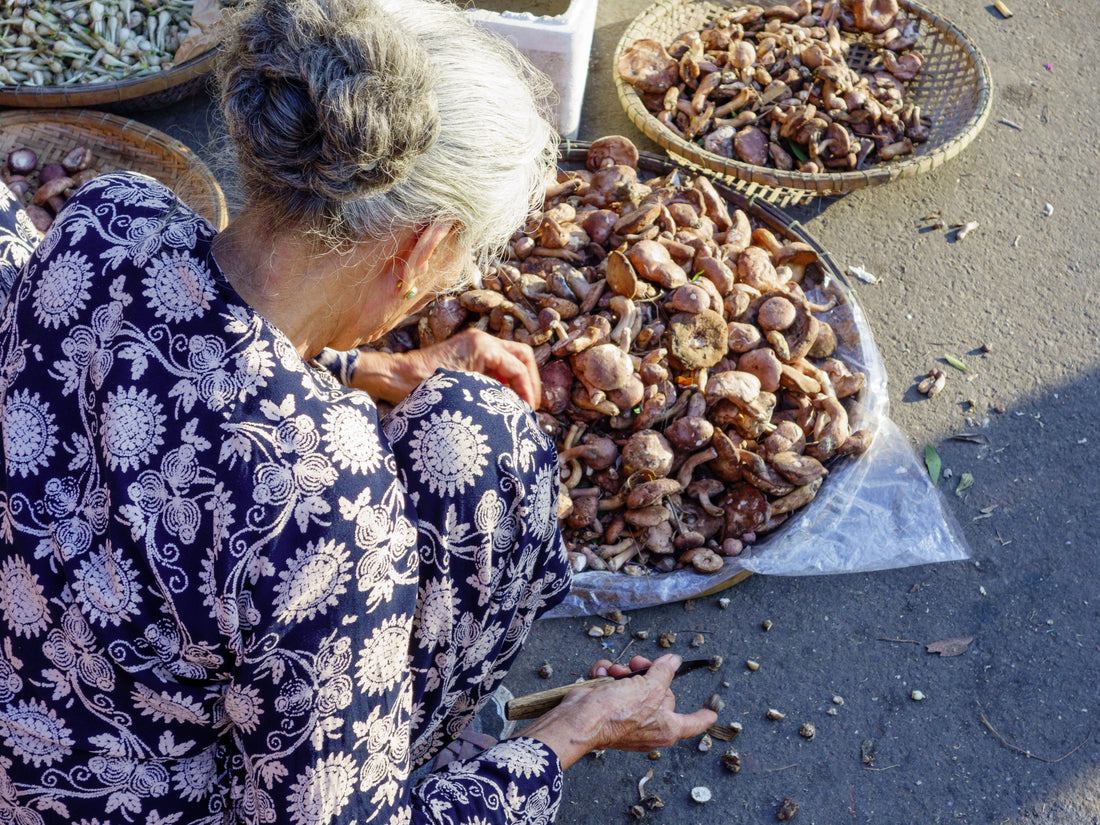 An elderly woman in a purple outfit with white flowers on the left side. She is crouched down, inspecting mushrooms in woven baskets on the floor. 